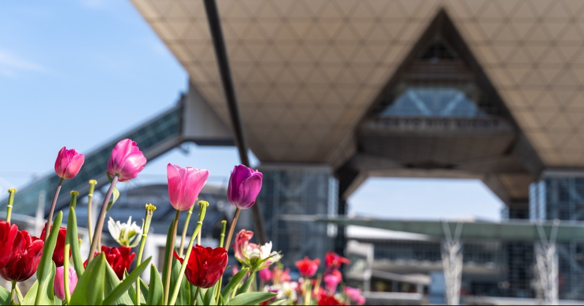 アニメ虹ヶ咲 第7話から見るお台場の景色 ざっかりー Note アニメ虹ヶ咲 第7話から見るお台場の景色 ざっかりー Note