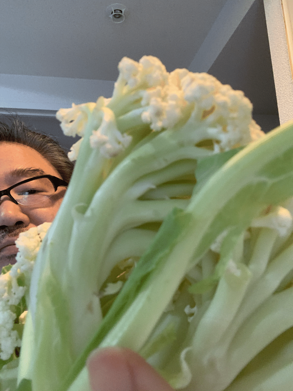 テレワーク飯 カリフローレ ソーセージ 単身赴任飯 妻からの食料補給で送られてきたカリフローレ 初調理 塩茹でにマヨ 美味しい しかし デカイ これでも小さな方との事 Food 玉置泰紀 Kadokawa21年室 Note