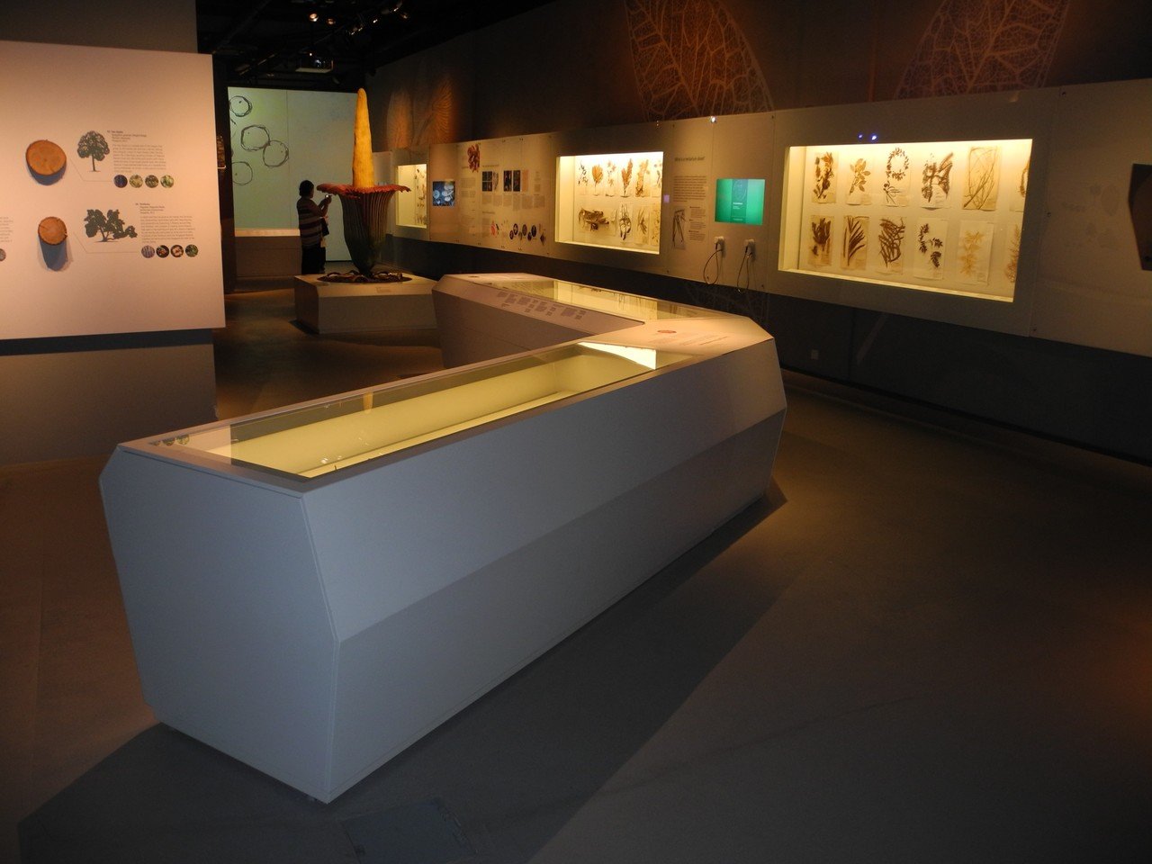 世界の自然史博物館(7)リー・コン・チャン自然史博物館|国立 世界の自然史博物館(7)リー・コン・チャン自然史博物館|国立