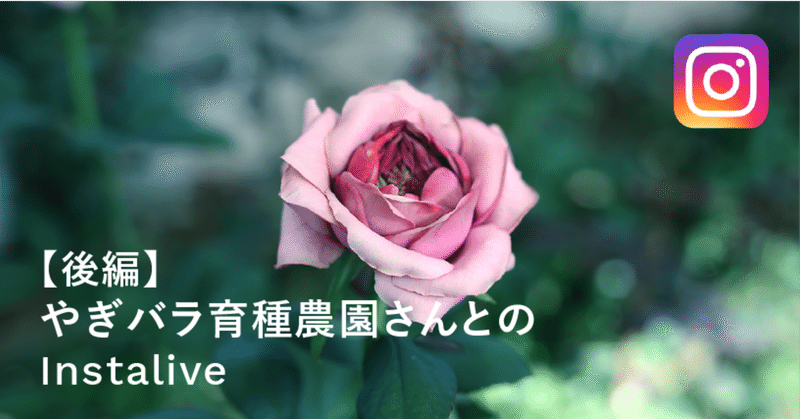 Lifftの年のノート Note Lifftの年のノート Note