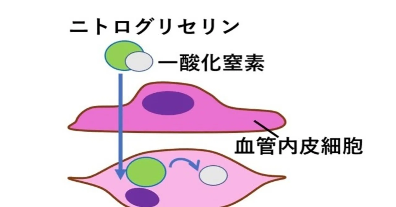 ニトロ グリセリン 副作用