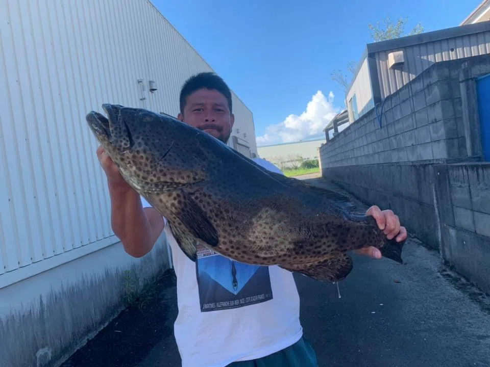 中級編】誰でも40cmオーバーの高級魚突けるようになる9つの掟【魚突き