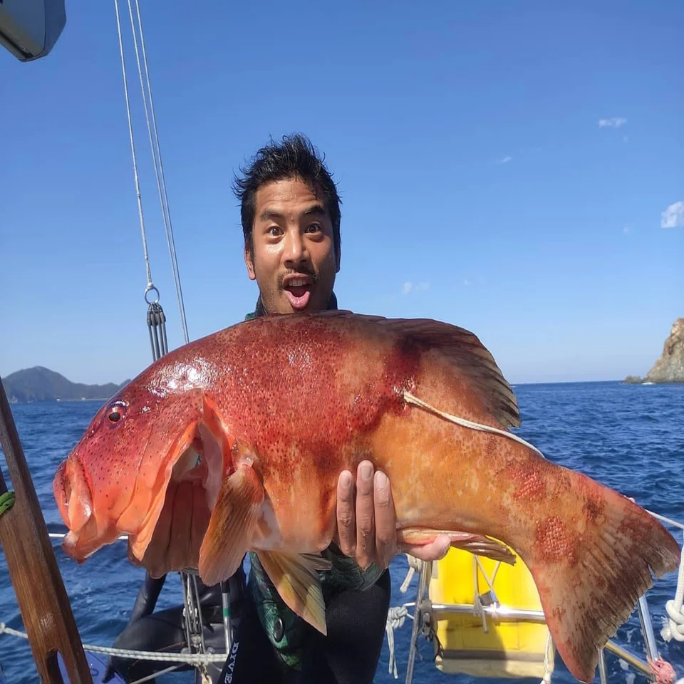 中級編】誰でも40cmオーバーの高級魚突けるようになる9つの掟【魚突き