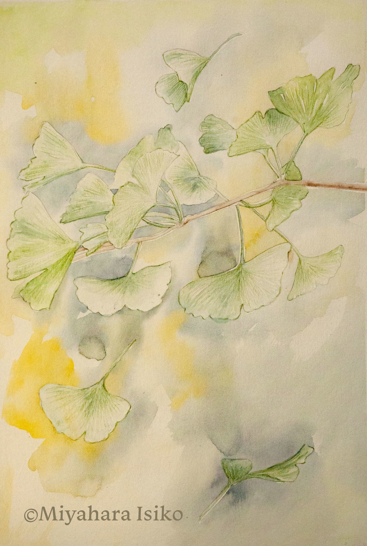 銀杏を描く 水彩イラスト Miyaharaisiko Note