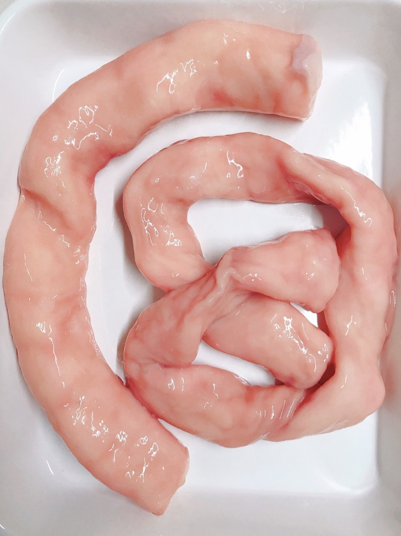 ホルモン図鑑 マルチョウ 牛小腸 ホルモンもい将 Moisho Note