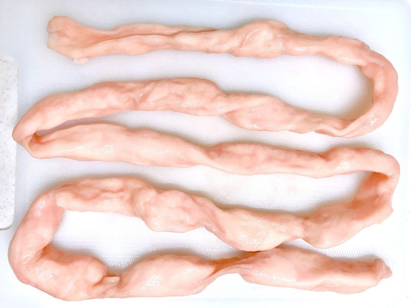 ホルモン図鑑 マルチョウ 牛小腸 ホルモンもい将 Moisho Note