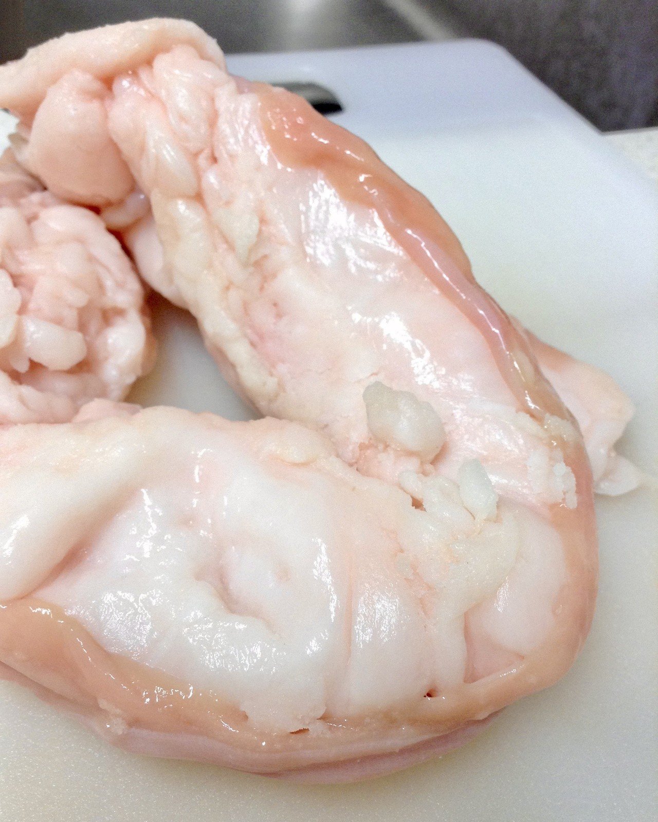 ホルモン図鑑 マルチョウ 牛小腸 丸取り ホルモンもいしょう Note ホルモン図鑑 マルチョウ 牛小腸 丸取り ホルモンもいしょう Note