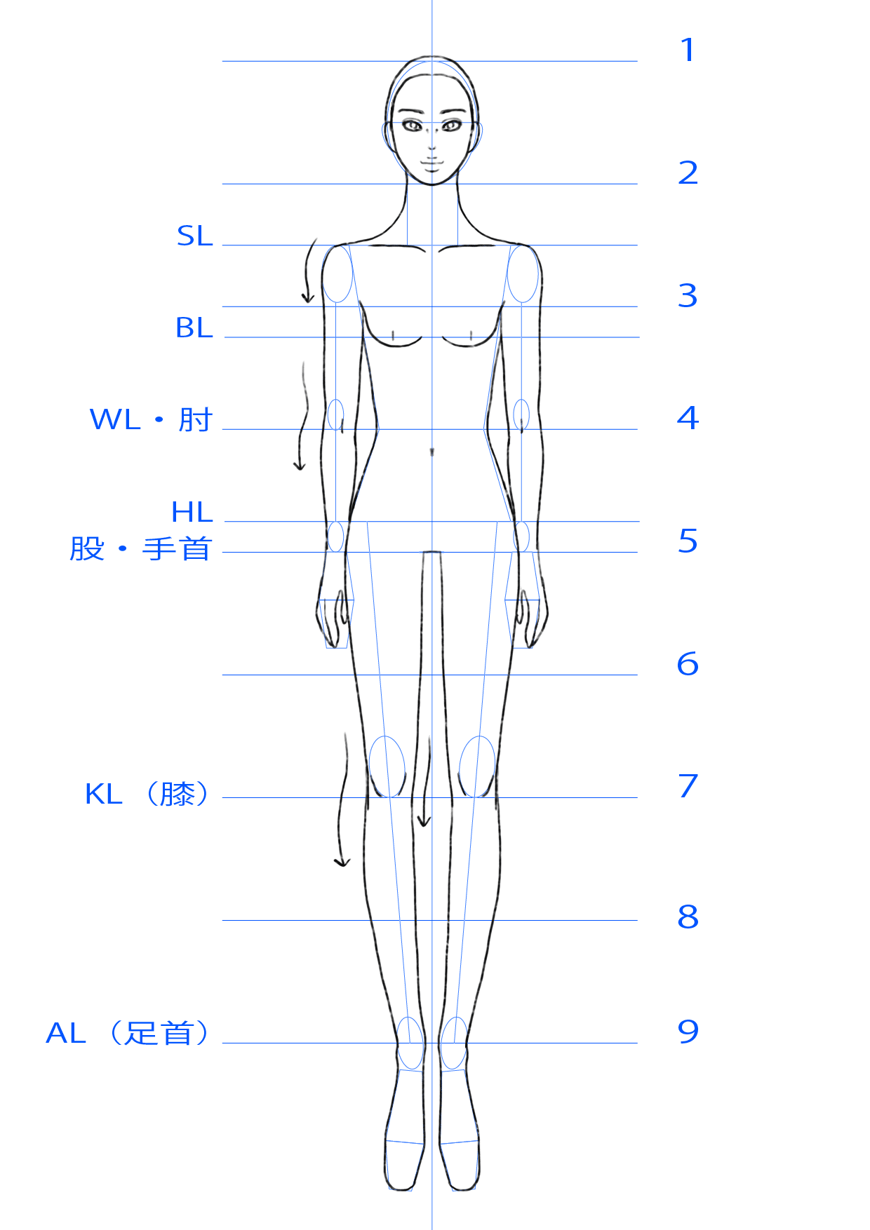 初心者向け 簡単なボディの描き方 両脚重心ポーズ Ishin Note