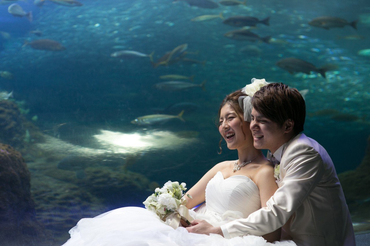 新江ノ島水族館を丸ごと貸切 神秘的な海の世界で記憶に残るウェディング A T Wedding Note