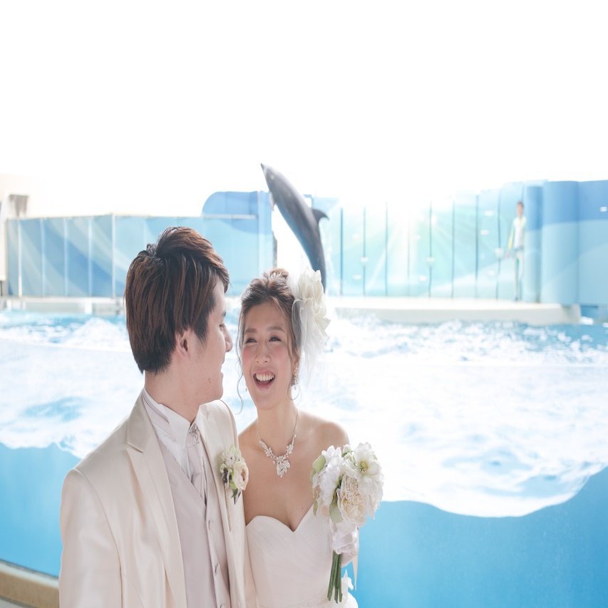 新江ノ島水族館を丸ごと貸切 神秘的な海の世界で記憶に残るウェディング A T Wedding Note