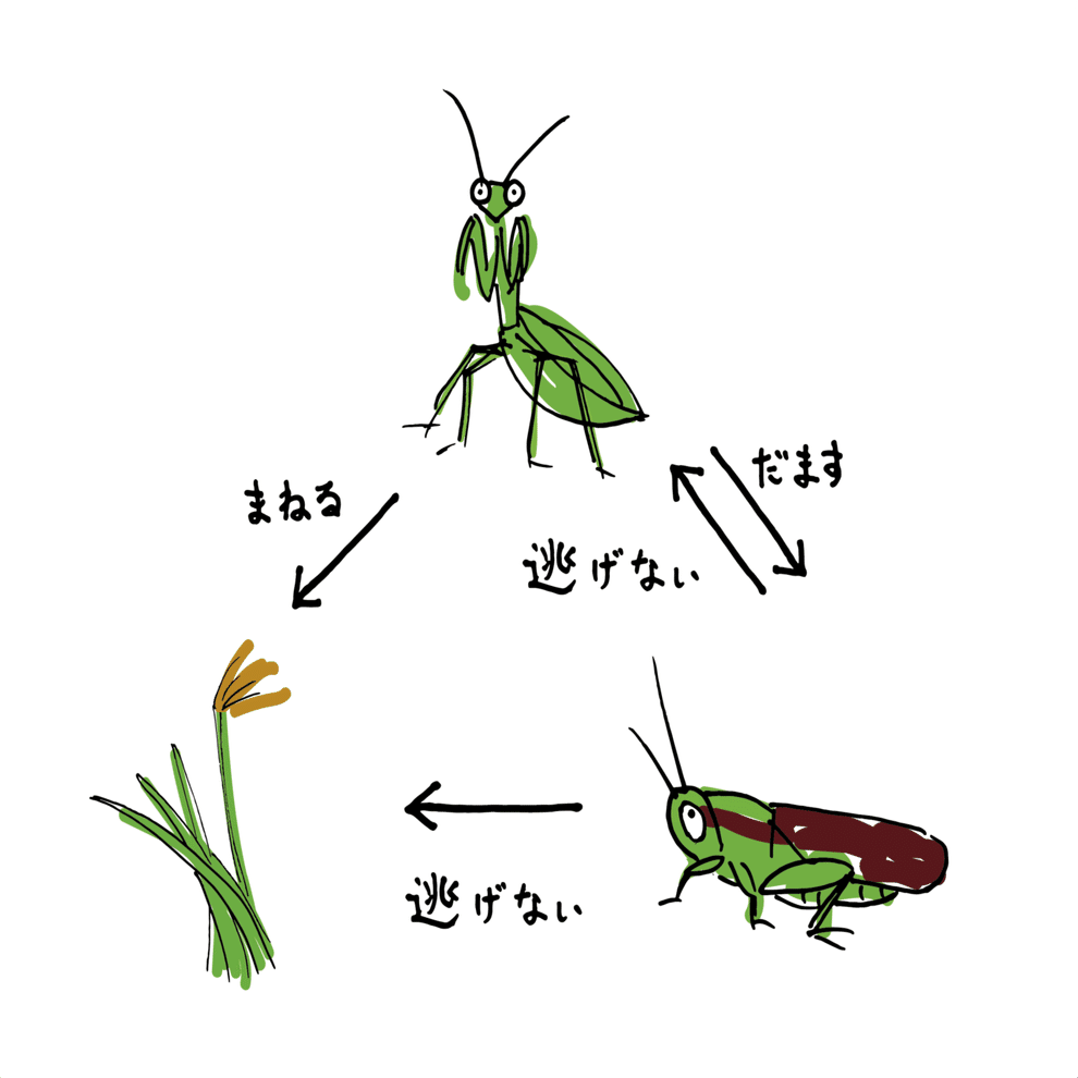 冬が旬 擬態昆虫を探してみよう 浜松科学館 みらいーら