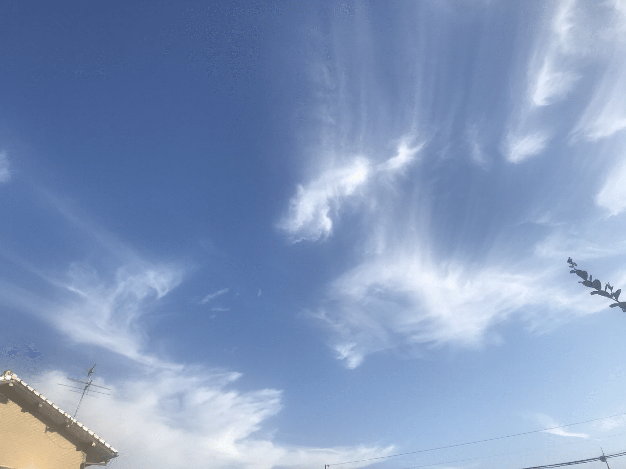 流れる雲 秋の雲 Sara Note
