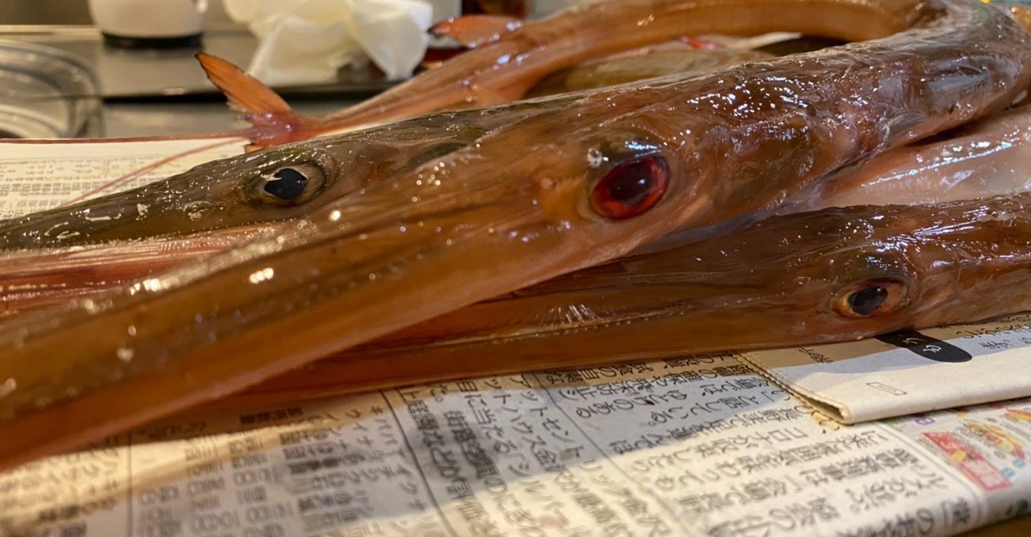 カラダが武器みたいな魚 ヤガラを捌く Noriaki Kawanishi 田舎暮らしデザイナー Note カラダが武器みたいな魚 ヤガラを捌く Noriaki Kawanishi 田舎暮らしデザイナー Note
