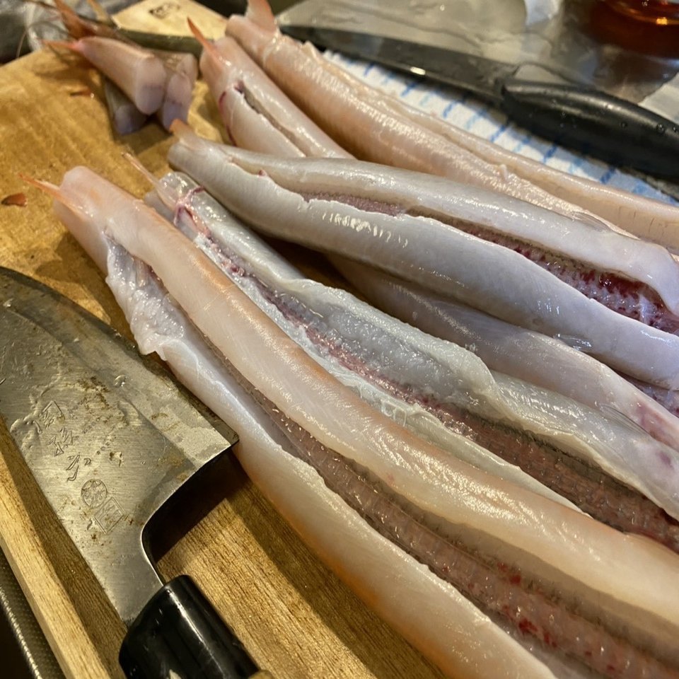 カラダが武器みたいな魚 ヤガラを捌く Noriaki Kawanishi 田舎暮らしデザイナー Note