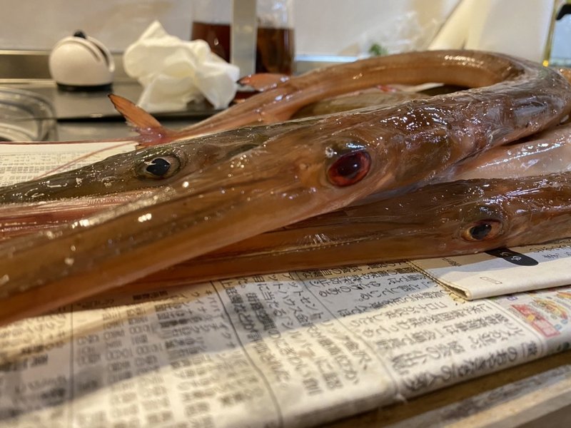 カラダが武器みたいな魚 ヤガラを捌く Noriaki Kawanishi 半農デザイナー Note