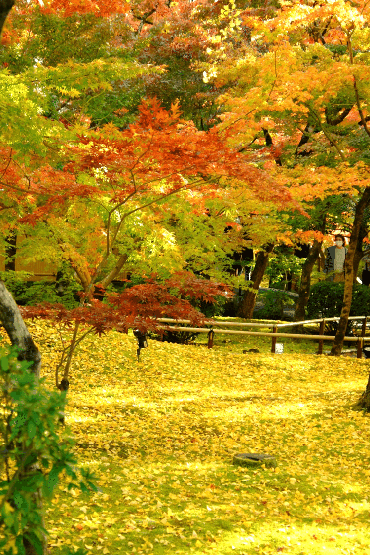 南禅寺
京都の秋の色は絵画のように美しい。
