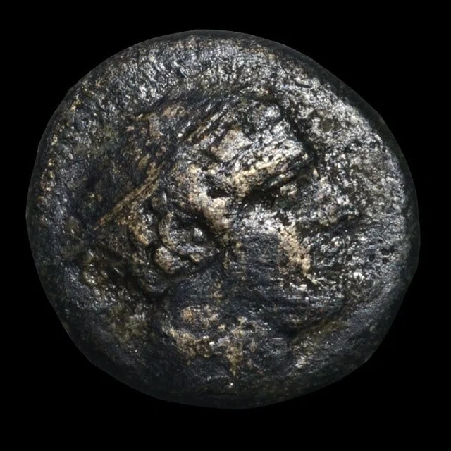 アンティークコインの世界 〜古代ローマの日常で使われた貨幣〜｜Shelk