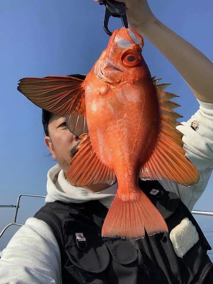 画像4