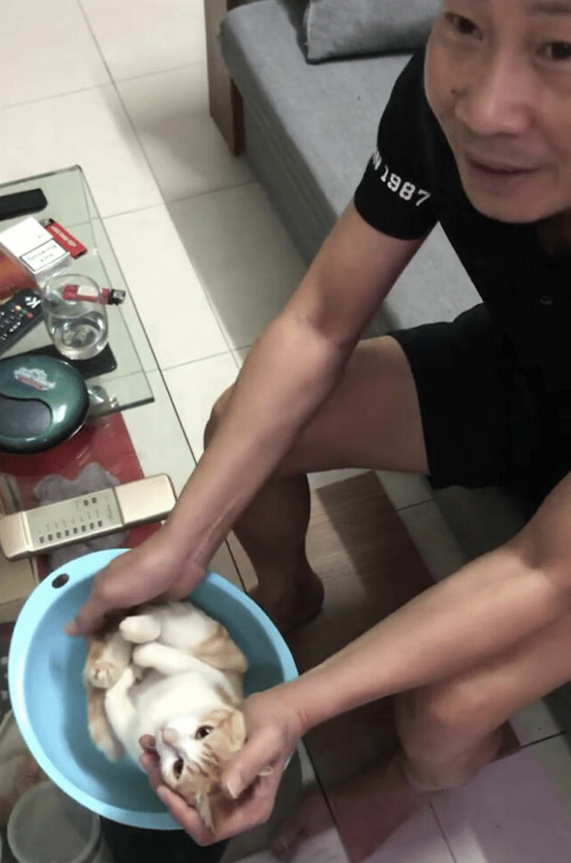 グランパは猫を使って息子に赤ちゃんの入浴法を教える ノリノリ Note