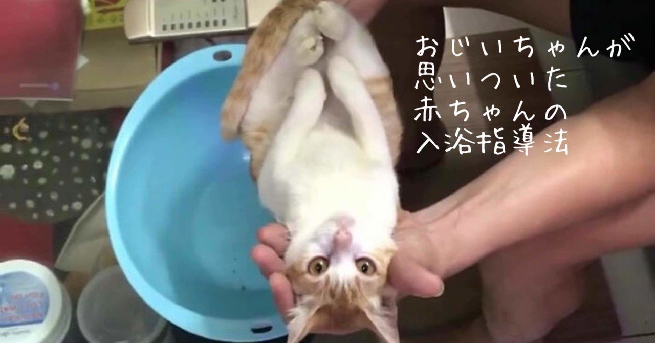 グランパは猫を使って息子に赤ちゃんの入浴法を教える ノリノリ Note
