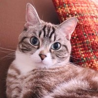 満島ひかり不足に ごめんね青春 Tver あく Note 満島ひかり不足に ごめんね青春 Tver あく Note