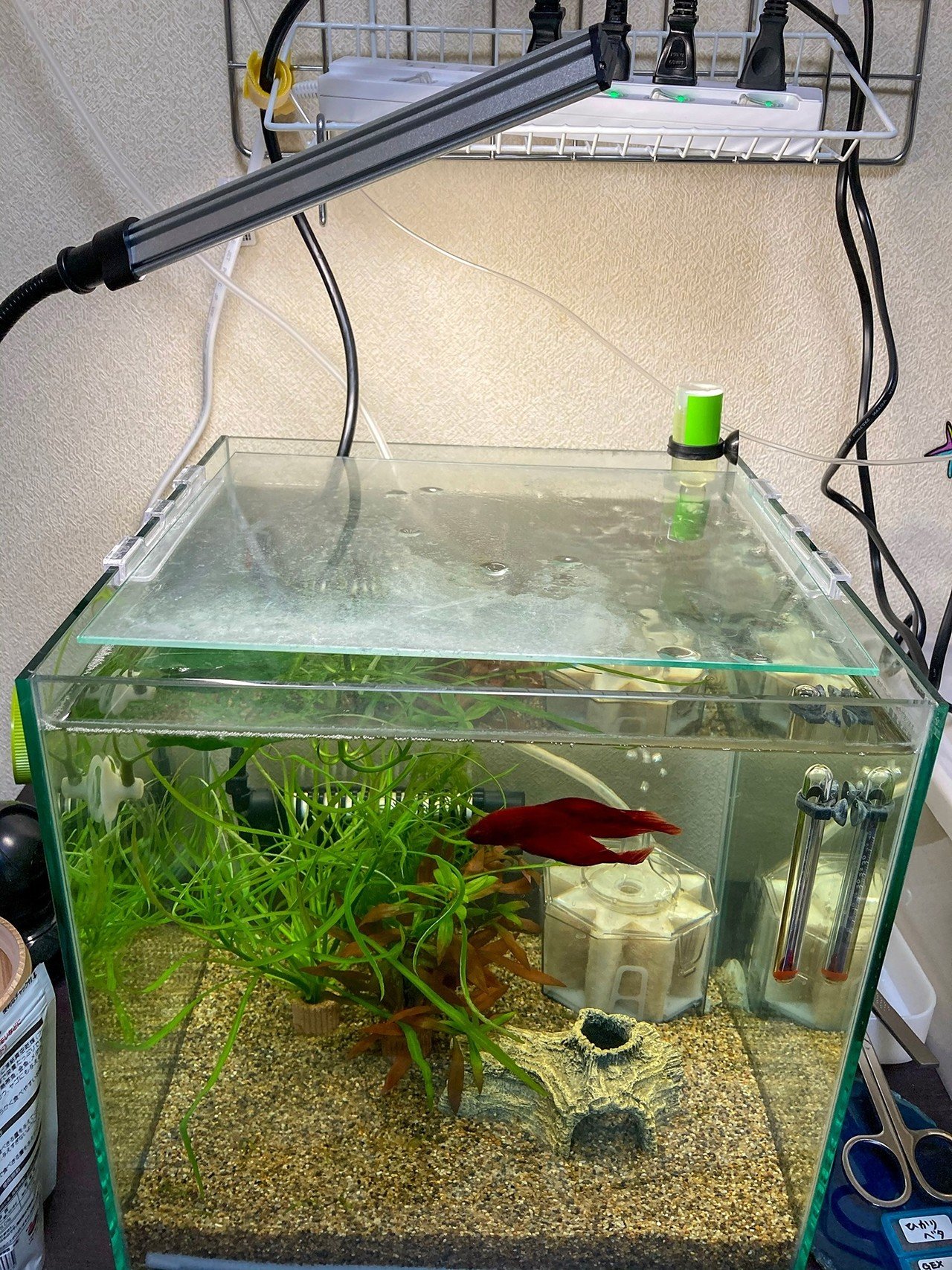 ベタちゃん記録 現在の設備11編 てごねいわし つみれ Note ベタちゃん記録 現在の設備11編 てごねいわし つみれ Note