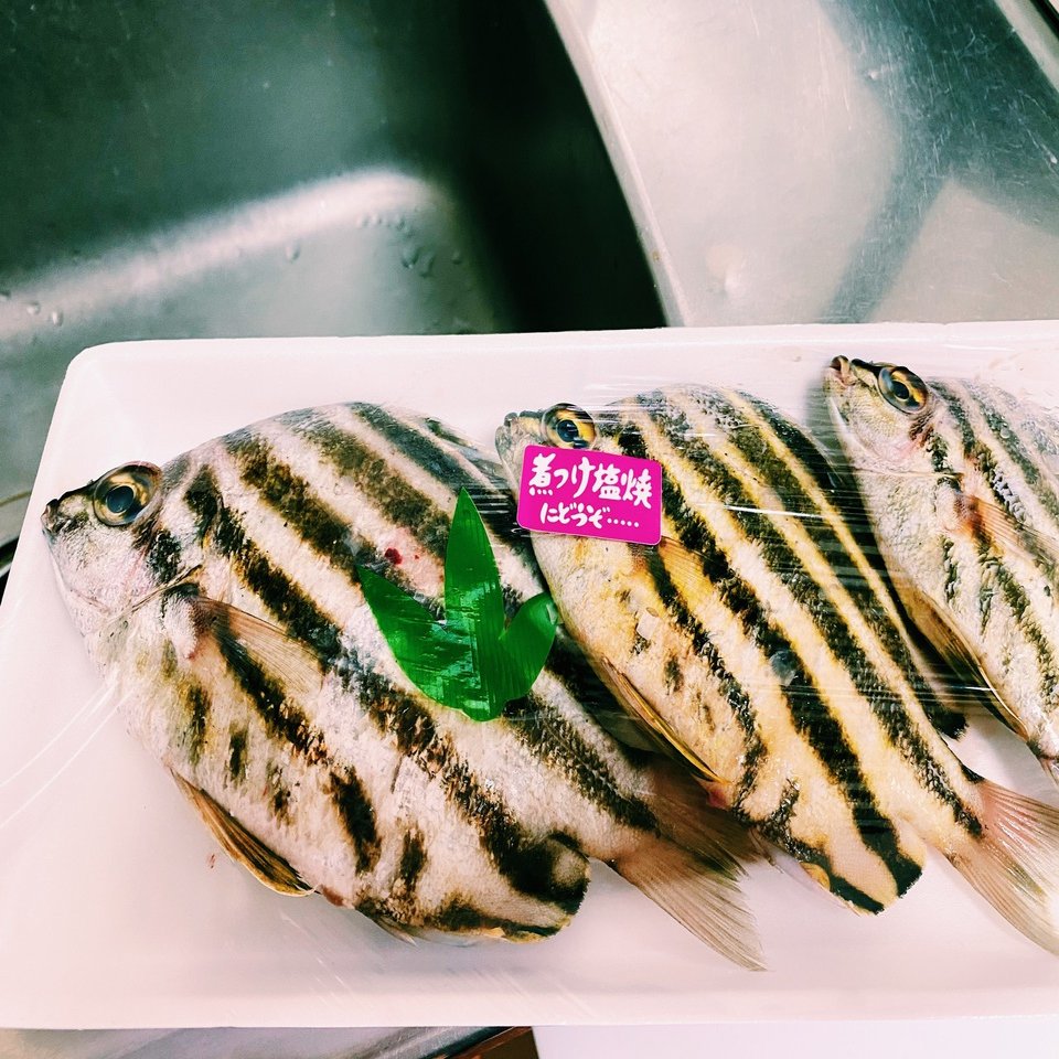 1 黄色と黒のしましまの可愛いやつ とと日誌 Note