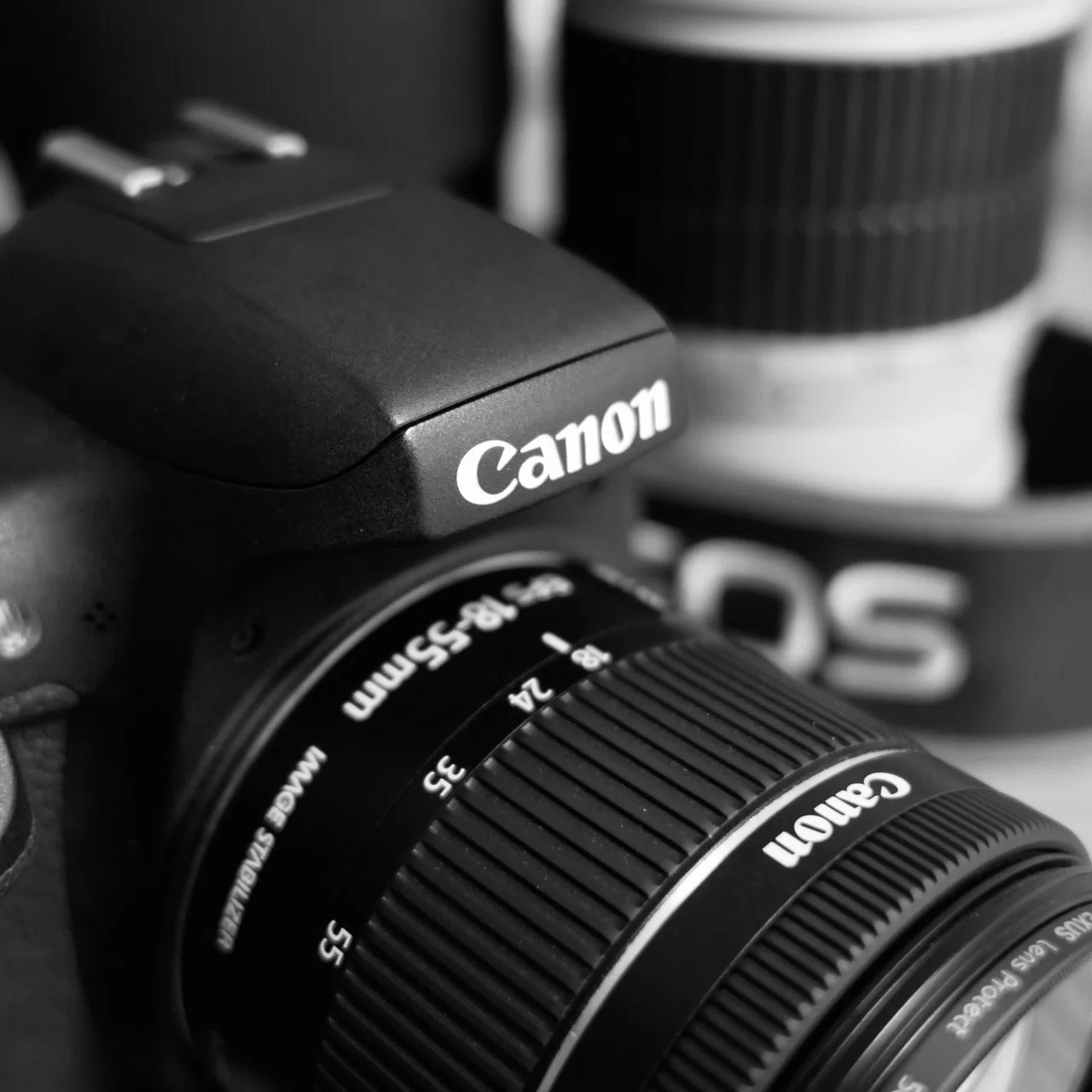 Photographing With, Vol. 1: Canon EOS Kiss X8i で散歩｜Strolling Ricky