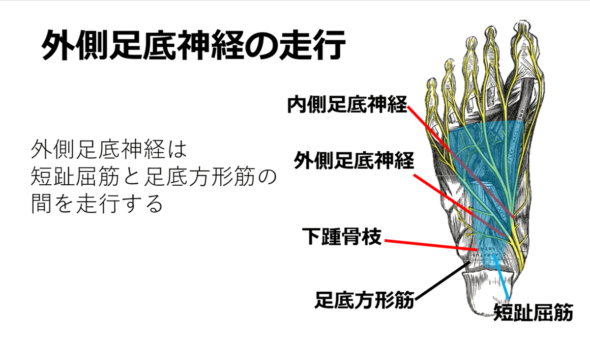 図5