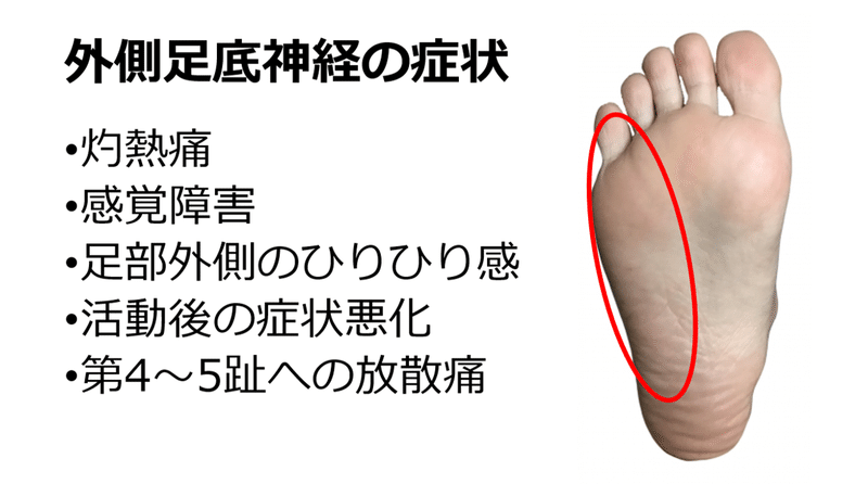 知らなくていい 外側足底神経 内側踵骨枝 下内側枝 Y K Note 知らなくていい 外側足底神経 内側踵骨枝 下内側枝 Y K Note