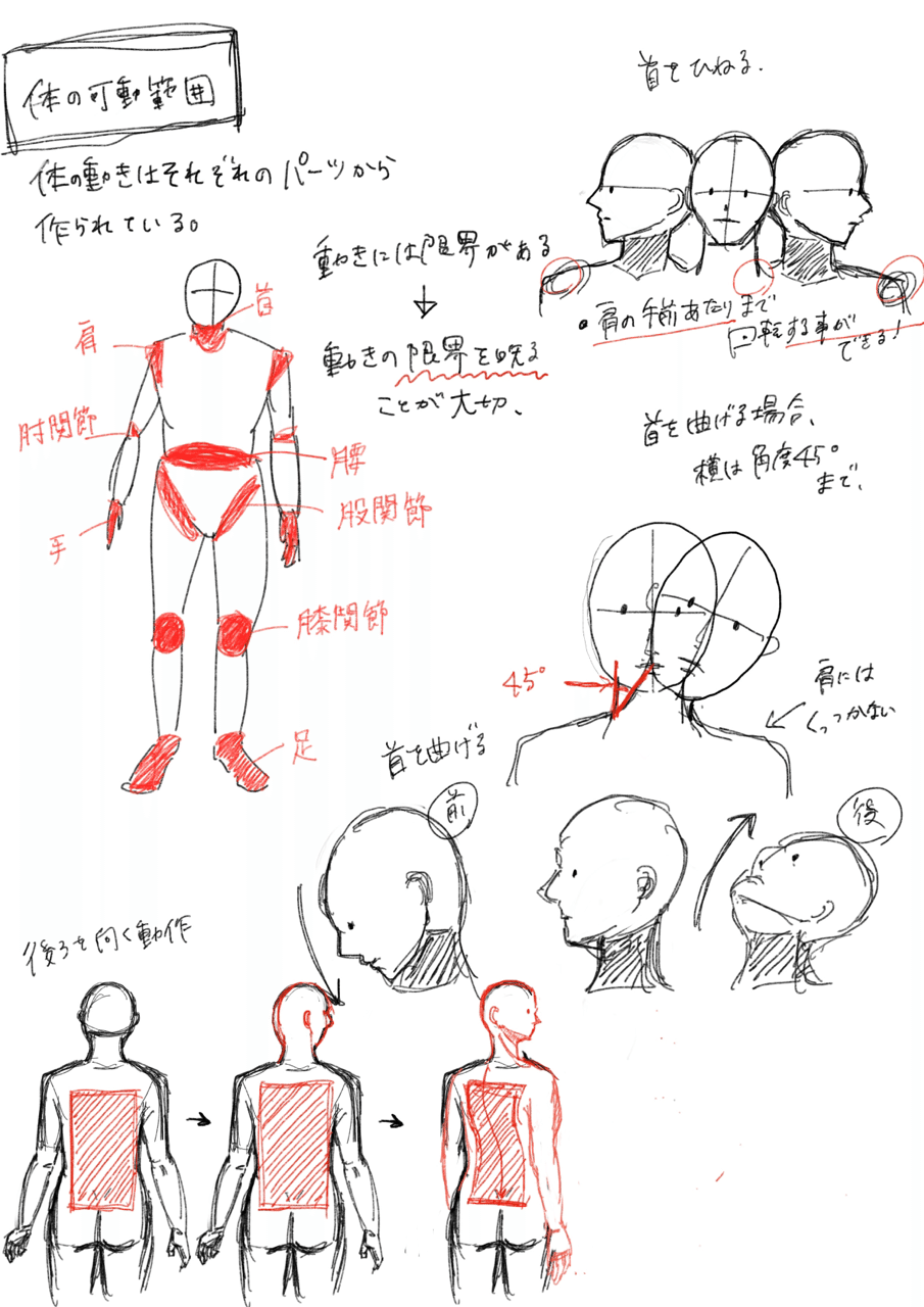 体の可動範囲 Yucca Note