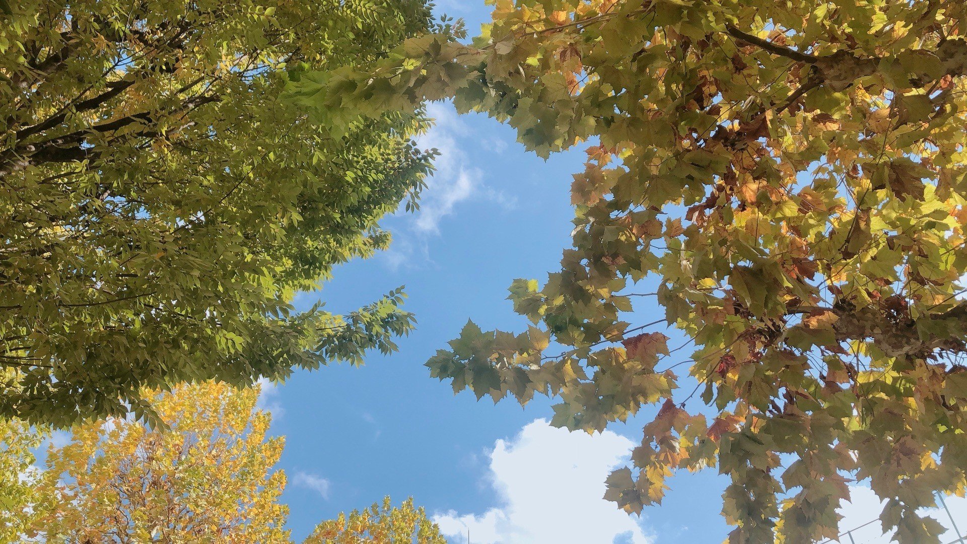 時 回っ た 分 何時 回 何 が 秒 地球 何 何