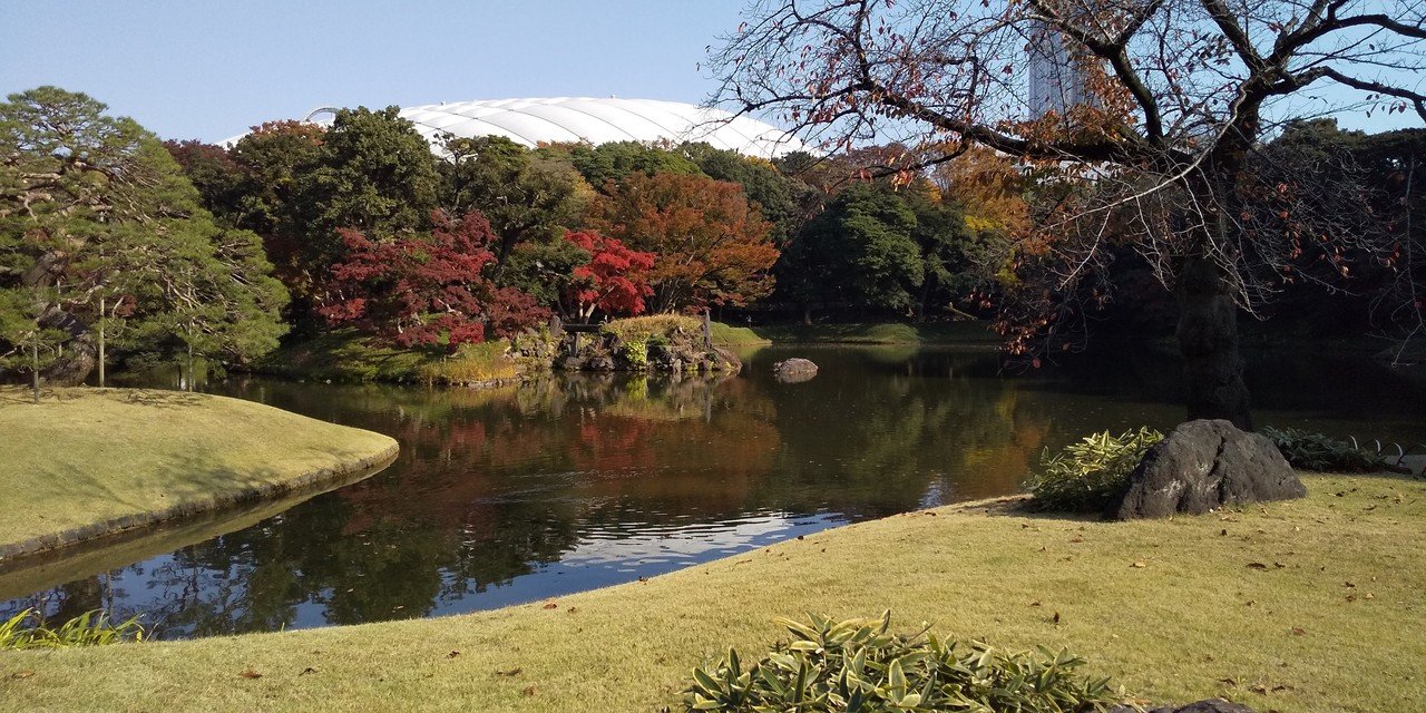ナカさんの沼活動 小石川後楽園 11 17 ナカさん Note ナカさんの沼活動 小石川後楽園 11 17 ナカさん Note