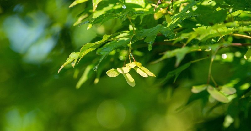 突然の電話で驚くが話を聞いて微笑む