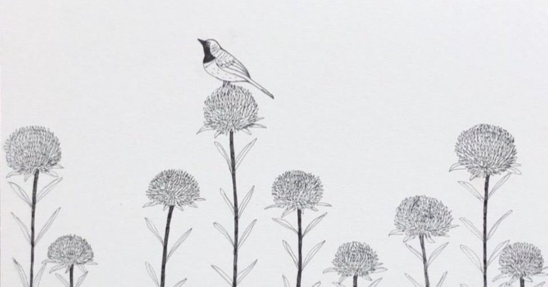 思ったよりもずっと 基礎からやり直したい不安 牧野 曜 Note 思ったよりもずっと 基礎からやり直したい不安 牧野 曜 Note
