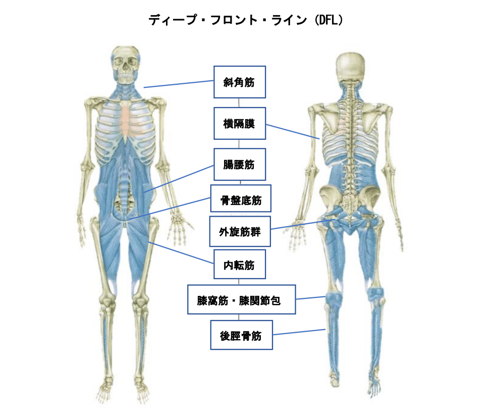 ディープ・フロント・ライン