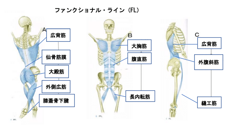 ファンクショナル・ライン