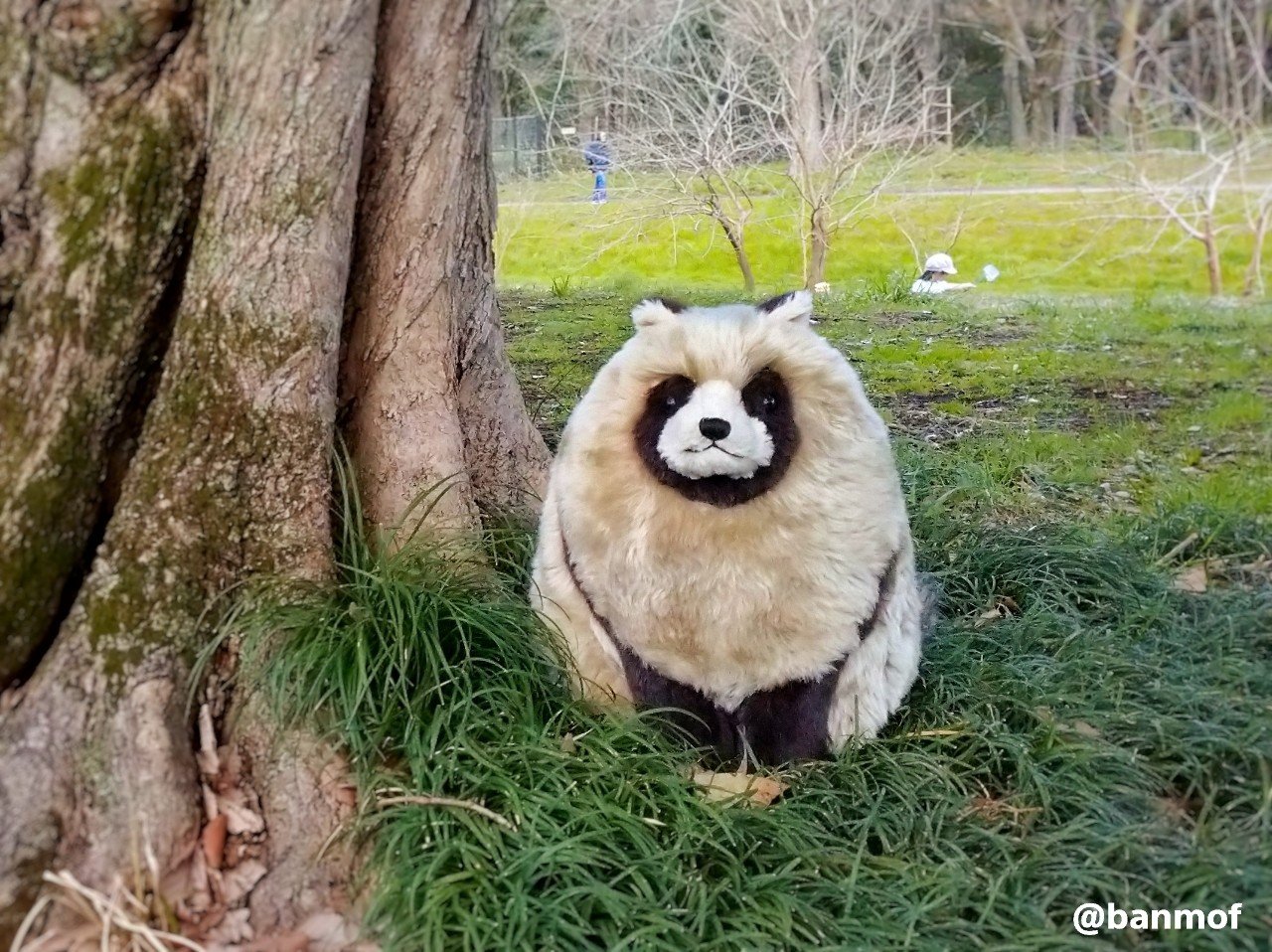 623a83a67e76a8c57e90b4fc8a2e6d