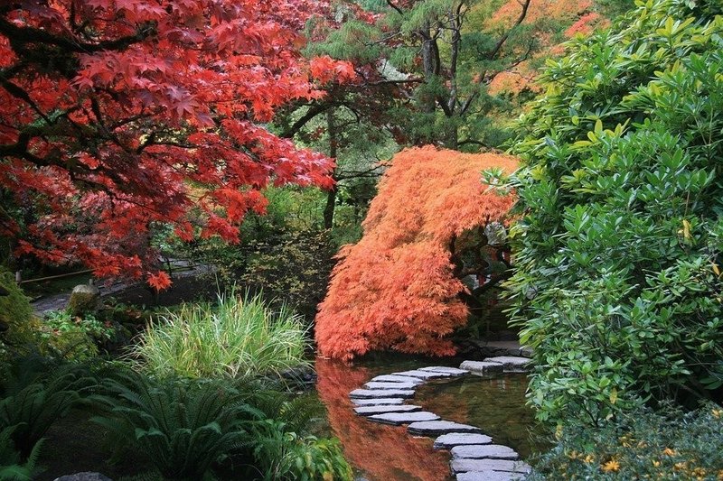 日本庭園・飛び石