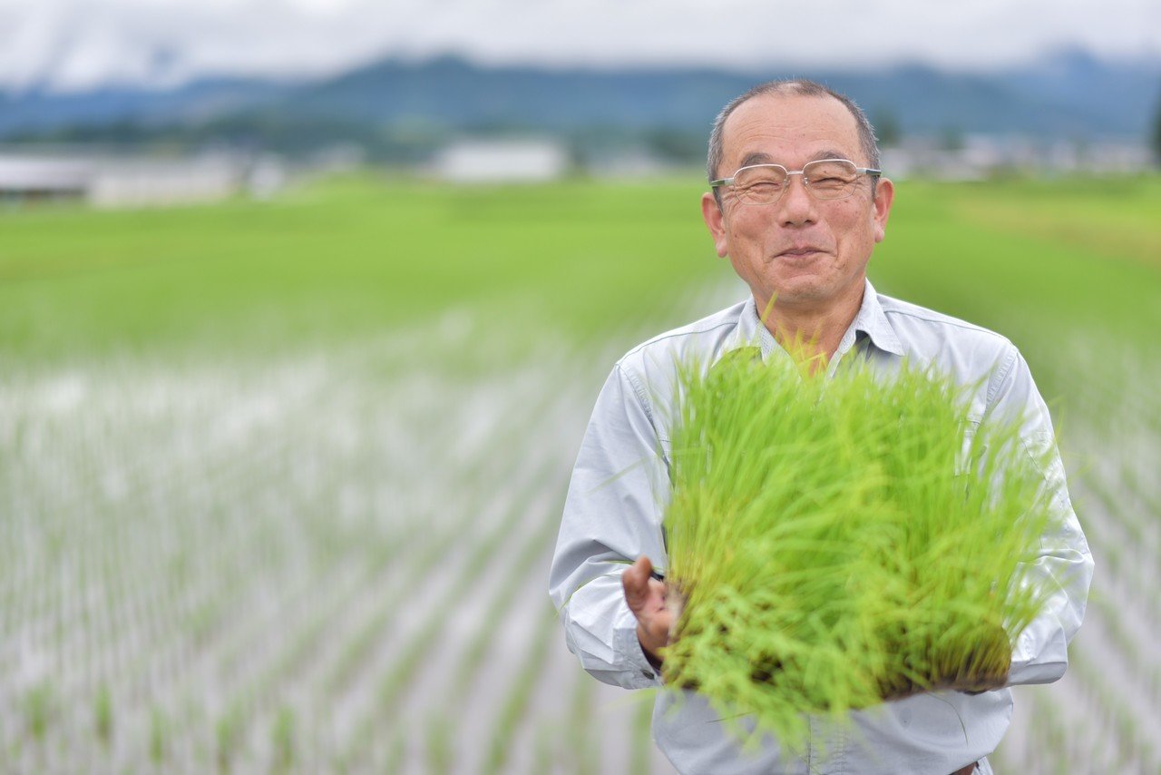 【再入荷】 美味しい新米を食べくらべ！海苔屋が買って良かったお米3選 ウエイトトレーニング