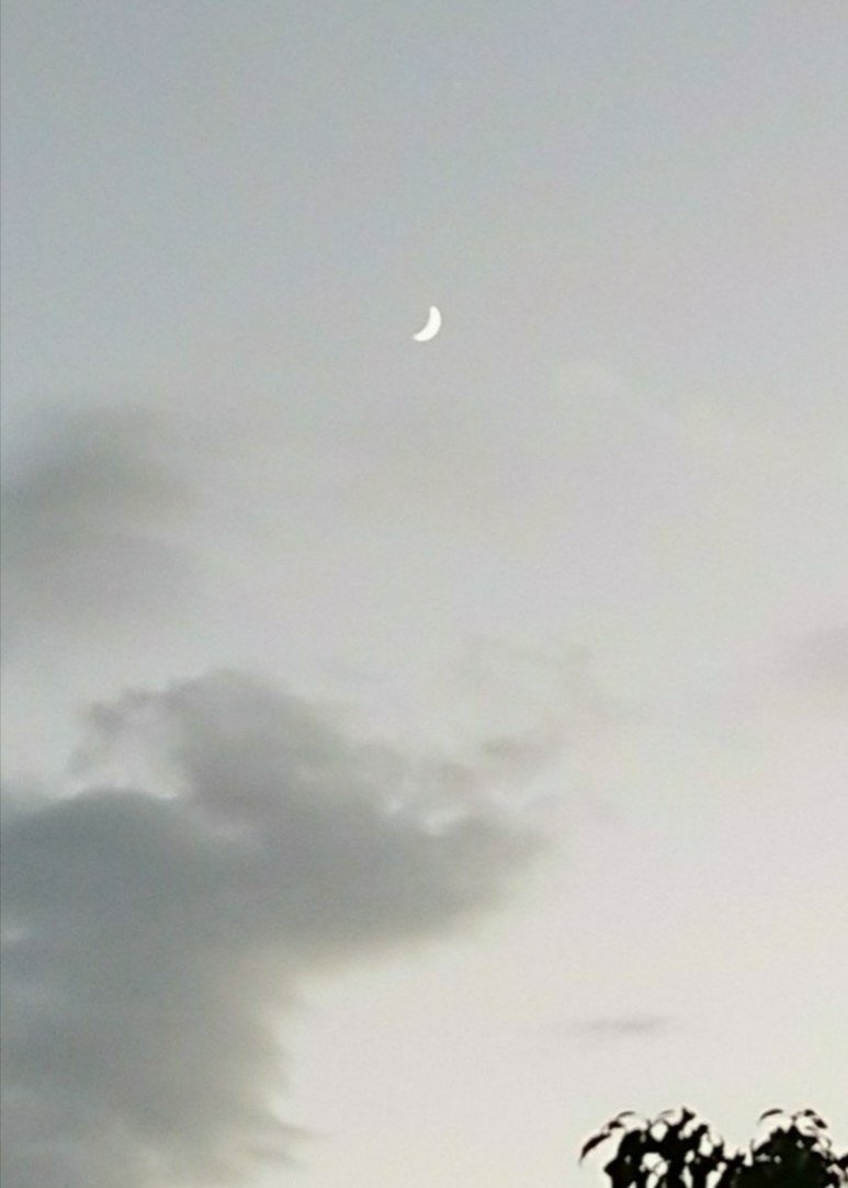 夕方三日月が きれいでした もう少し明るい感じ だったのですが 写真では 暗い 水墨画風になって しまってます もう少し遅い時間には 木星と接近していたのですが 雲がすぐにかかってしまって 写真 Midori Note