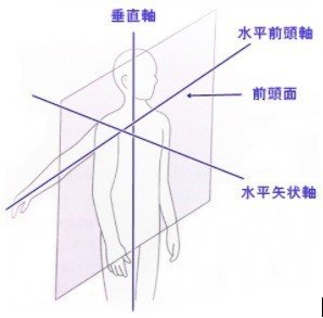 FireShot Capture 113 - note生理学 - Google ドキュメント - docs.google.com