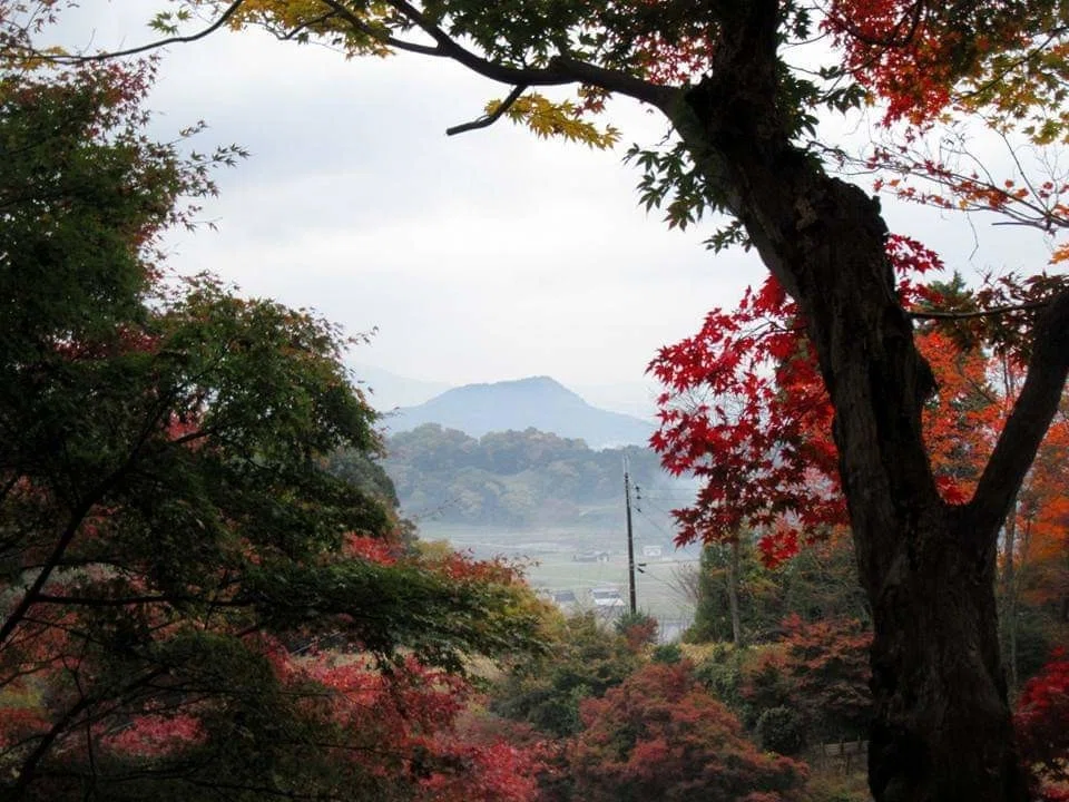 紅葉のフレームの中の畝傍山 岡寺にて Smile With Tears Note