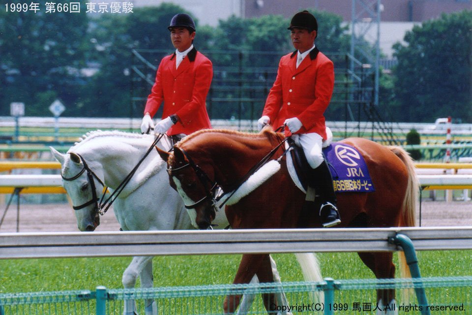 超希少 第66回 日本ダービー アドマイヤベガ 他 単勝馬券 ウマ娘