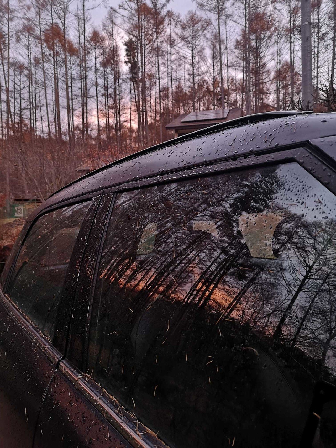 すべてのショットはコントロールショットじゃないの ってことでコントロールショットしやすいクラブを選んでみた Motoharu T島 Tajima Note すべてのショットはコントロールショットじゃないの ってことでコントロールショットしやすいクラブを選んでみた Motoharu T島 Tajima Note