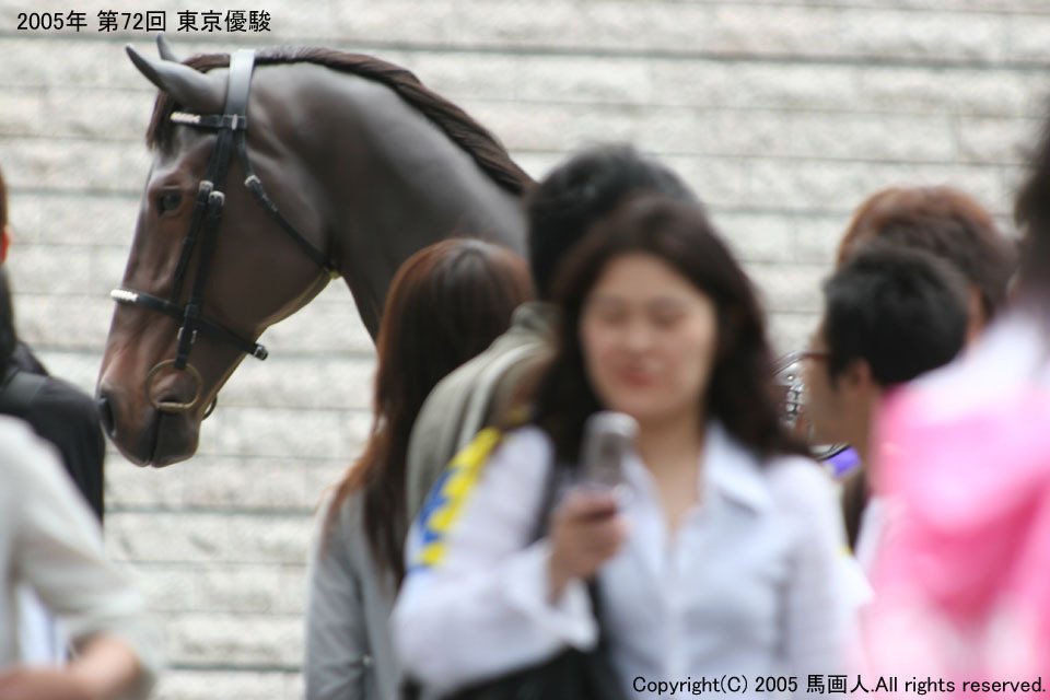 東京優駿(Japan Derby)：蔵出し写真5 2005年 ディープ