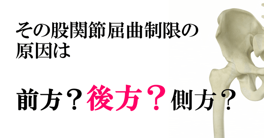 その股関節屈曲制限の原因は前方 後方 側方 後方編 Y K Note