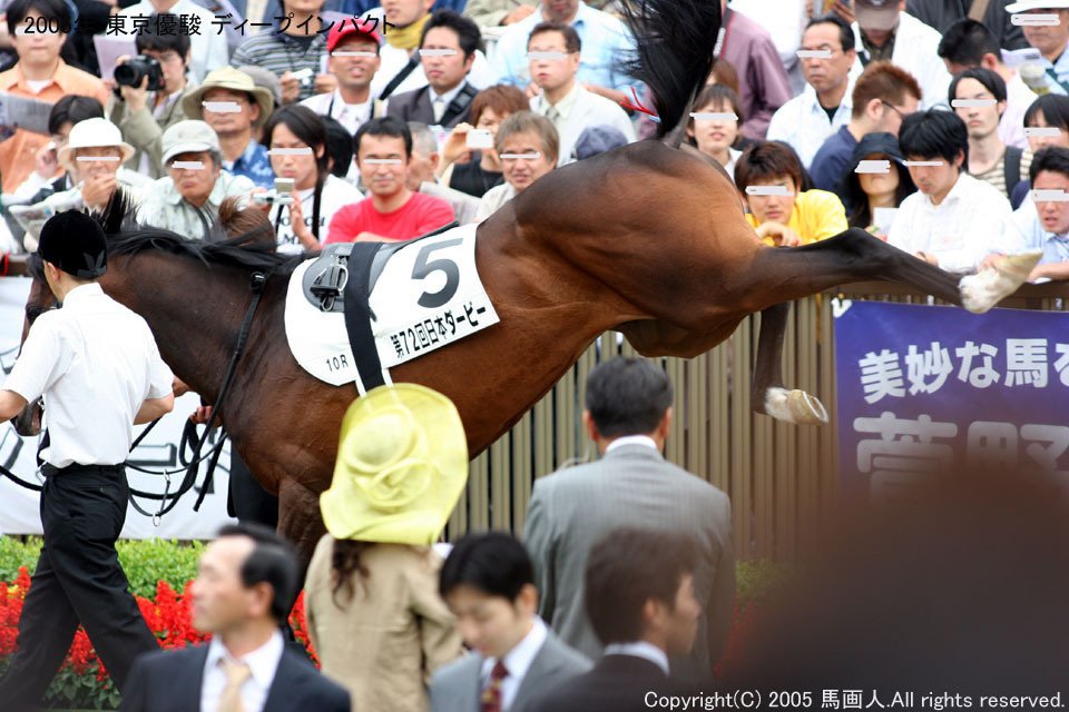 東京優駿(Japan Derby)：蔵出し写真5 2005年 ディープインパクト｜馬