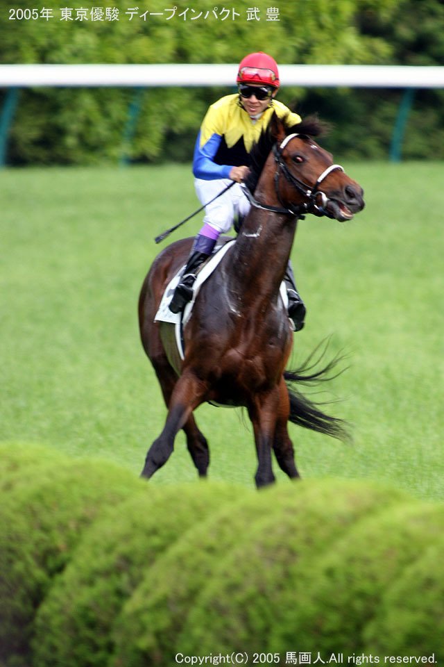 東京優駿(Japan Derby)：蔵出し写真5 2005年 ディープインパクト｜馬