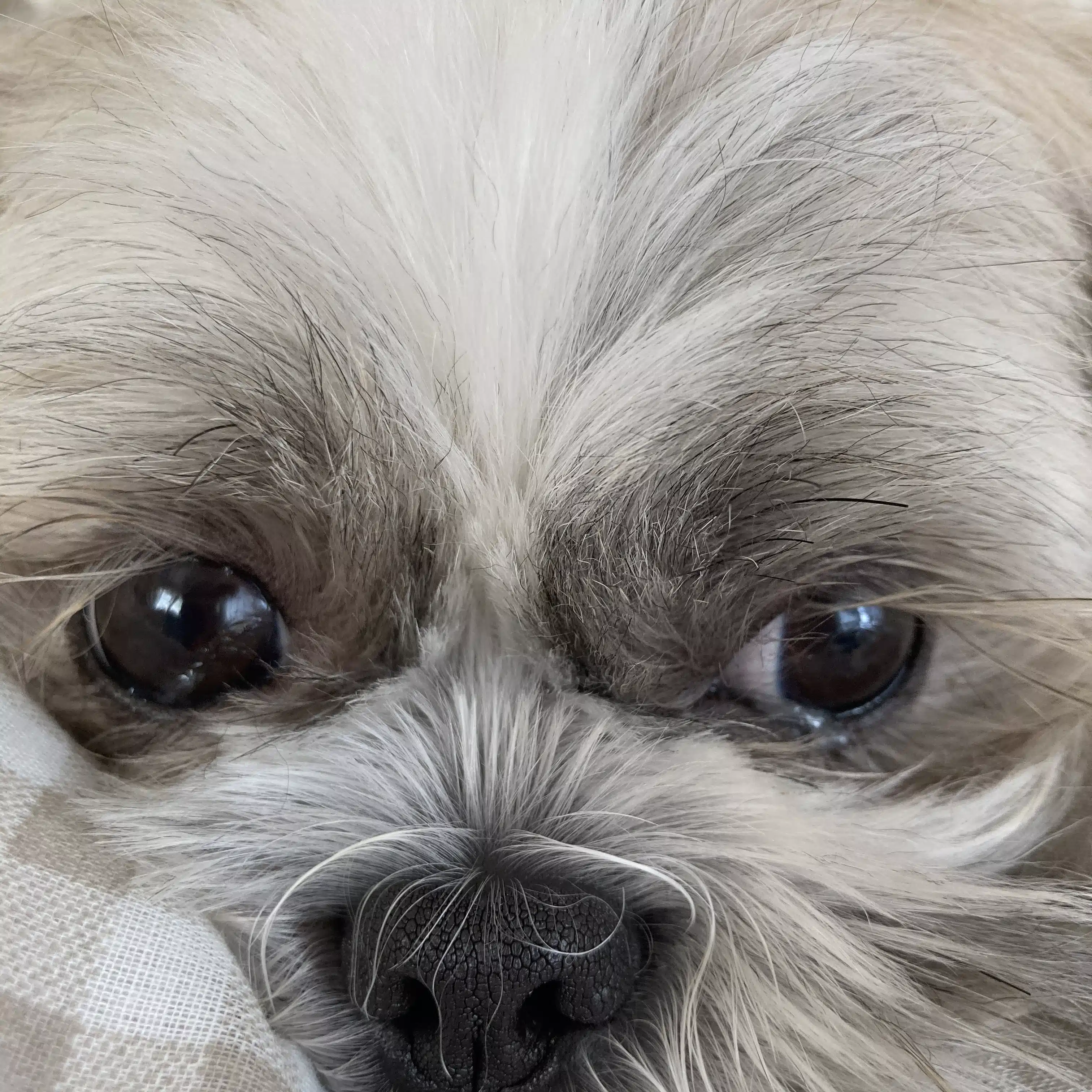 hiro